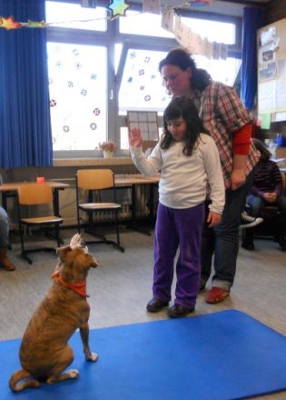 Dog`s Touch - Freude und Lernen mit Therapiehund