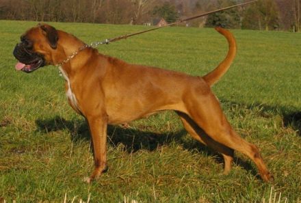 von den Schaephuysener Hoehen