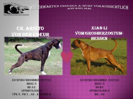 von den Schaephuysener Hoehen