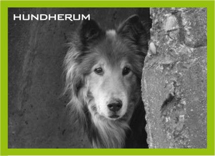 Hundherum »alltagstauglich und individuell«