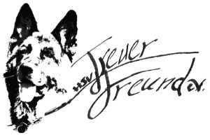 Hundesportverein „Treuer Freund“ e.V. Halle/Saale