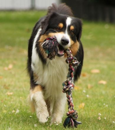 DC-Miracle's Sun in my Hand "Happy"