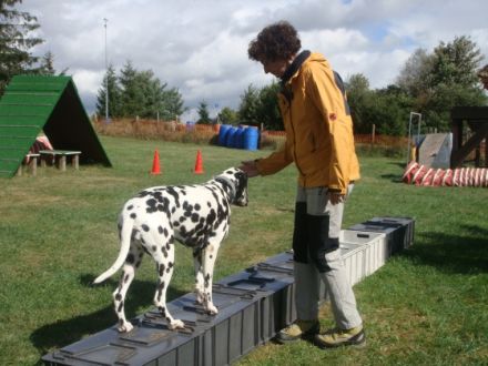 Hundeschule "hundsmäßig"