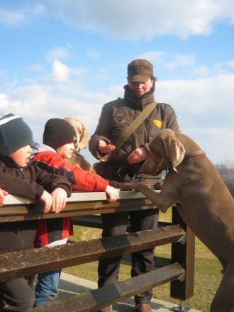 Hundeschule "hundsmäßig"