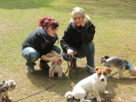 Mit Strategie zum Erfolg