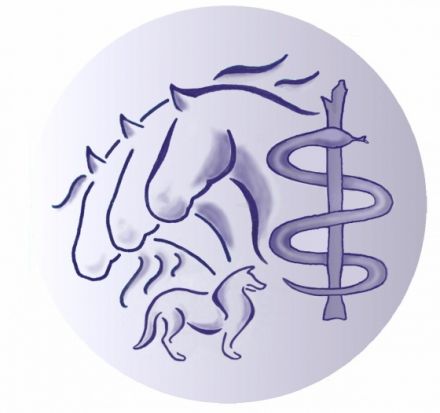 Tiernaturheilpraxis für Hunde & Pferde