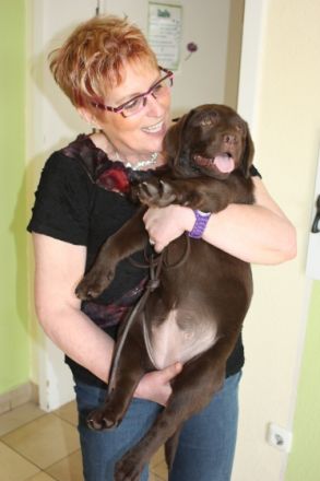 Tierheilpraktikerin mit mobilen Praxis