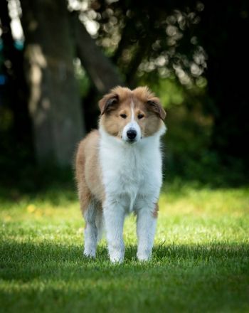 vom Hasslinger Bruch