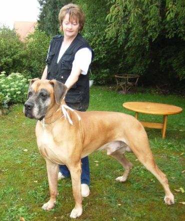 Tierheilpraxis Brandt-Weber