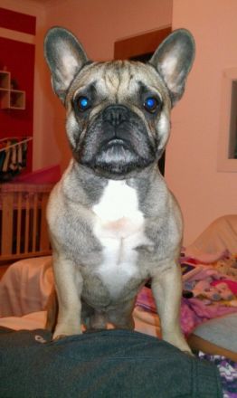 derry von mönchsberg