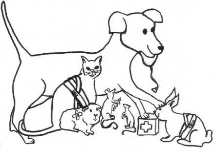 Tierheilpraktikerin Katja Tewes