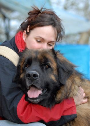 Hundeschule CALIBOGI