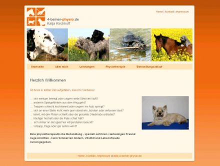 4-beiner-physio.de