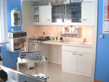 Naturheilpraxis für Kleintiere & Pferde Gisela Behrendt