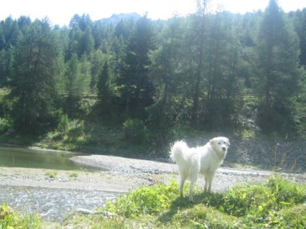 Haus Larix am Reschenpass
