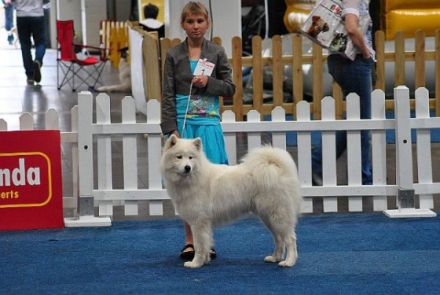 Syôre frá Tübingen