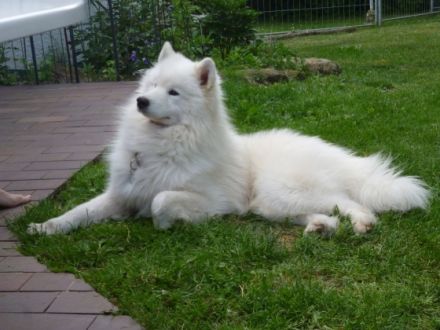 Polar Mist Party at LunaSea