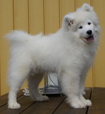 Polar Mist Party at LunaSea