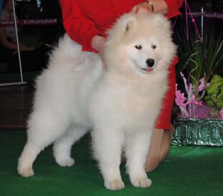 Polar Mist Party at LunaSea