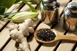 Tierheilpraxis Doxtader