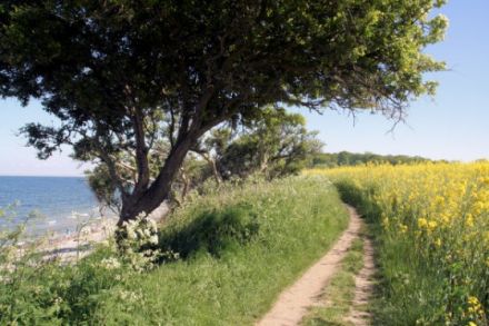 Fröschles Ferienwohnung Bibi auf Fehmarn