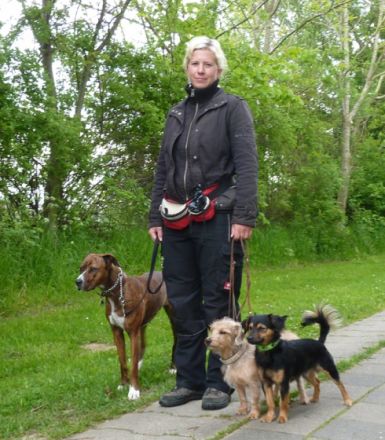 Wer ist Rudelführer? Mobile Hundeschule Stade