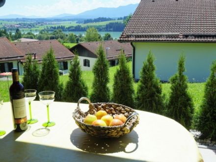 Komfortable Ferienhäuser in Lechbruck am See