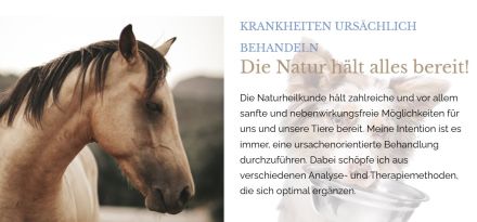 Naturheilpraxis für Tiere Anne-Cathrin Wirth