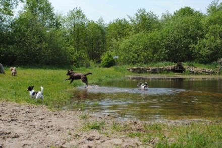 'Am Hyeholz' nur 500 m vom Ostseestrand