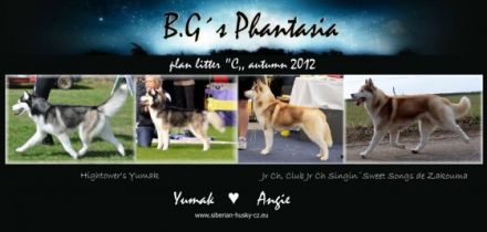 B.G´s Phantasia