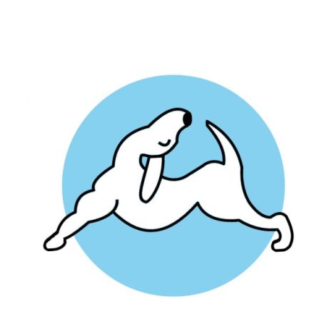 Hundephysiotherapie Sophia Strauß