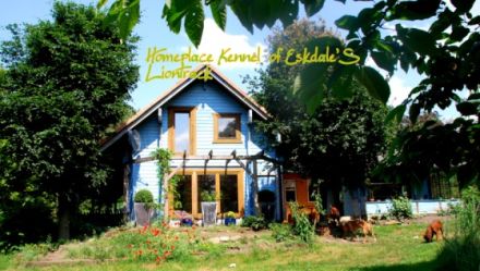 of Eskdale'S Liontrack