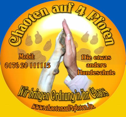 Chaoten auf 4 Pfoten