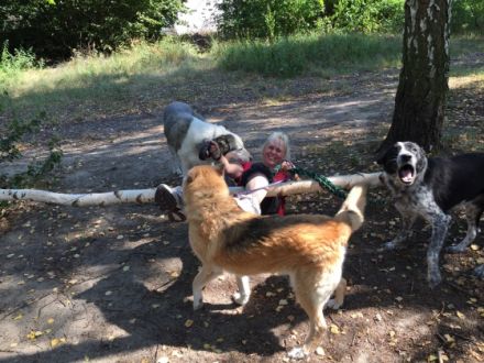 Hundepension Liane Kramer