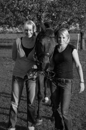 Mobile Tierheilpraxis für Hunde und Pferde