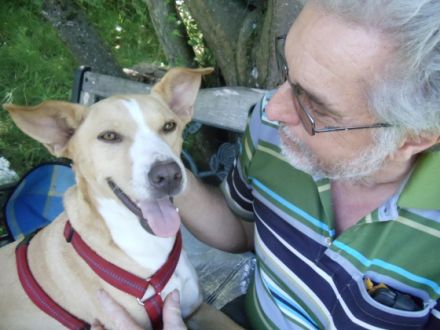 Hundepension Rose Lehrer