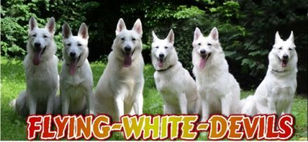 Flying White Devils