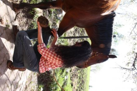 Tierphysiotherapie & Tierheilpraxis Karin Wild