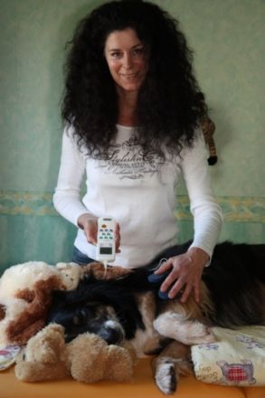 Tierphysiotherapie & Tierheilpraxis Karin Wild