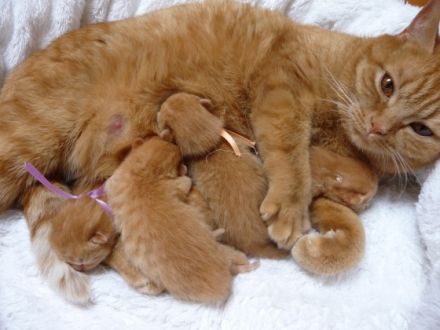 vom Schlosskirchturm