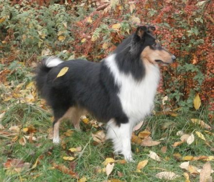 Amani Feeling for Nature