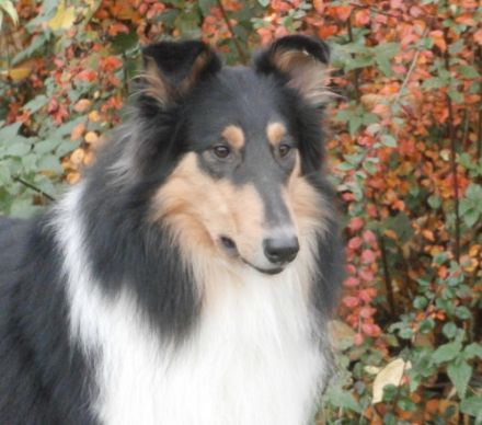 Amani Feeling for Nature