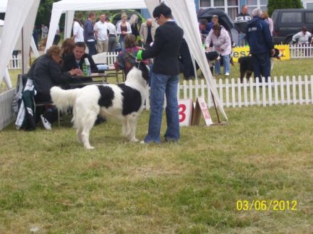 ANJUK vom celtic Power