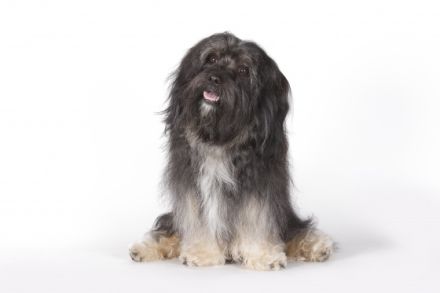 Cooper (Cubain's Magic Ycetto)