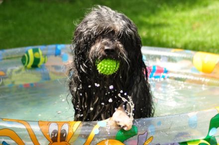 Cooper (Cubain's Magic Ycetto)