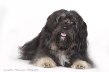 Cooper (Cubain's Magic Ycetto)