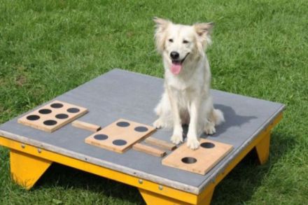 Hundeschule Wolfsherz - Ihre Hundeschule mit Herz