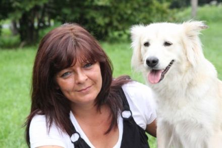 Hundeschule Wolfsherz - Ihre Hundeschule mit Herz