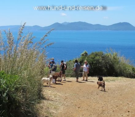 Hundewanderung in der Toskana, Mai+Okt