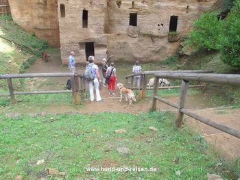 Hundewanderung in der Toskana, Mai+Okt